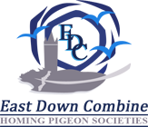 East Down Combine